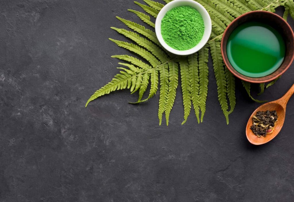 Thumbnail Picture of A Deep Dive into Kratom Alkaloids and Their Properties by Rebel Brands