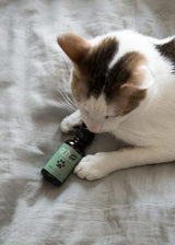Cat with CBD pet tincture bottle - view 2